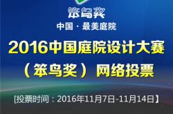 哇，不得了!四天时间笨鸟奖投票4万!访问量突破15万!