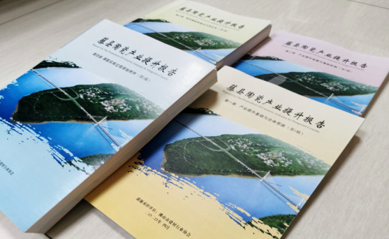 1.打赢抗疫经济战，“佛山大建材”都做了些什么？5659.jpg